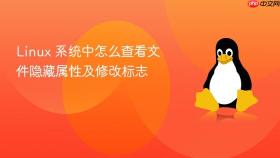 linux 系统中怎么查看文件隐藏属性及修改标志