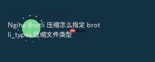 Nginx Brotli 压缩怎么指定 brotli_types 压缩文件类型
