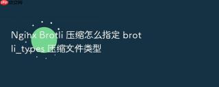 nginx brotli 压缩怎么指定 brotli_types 压缩文件类型