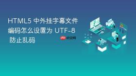 html5 中外挂字幕文件编码怎么设置为 utf-8 防止乱码
