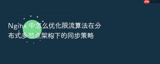 Nginx 中怎么优化限流算法在分布式多节点架构下的同步策略