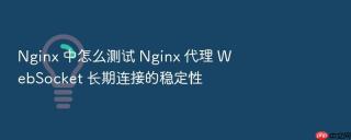 Nginx 中怎么测试 Nginx 代理 WebSocket 长期连接的稳定性