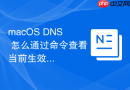macOS DNS 怎么通过命令查看当前生效的配置