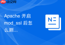 Apache 开启 mod_ssl 后怎么测试配置是否正确