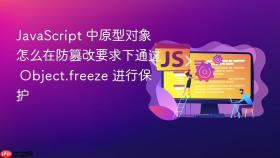 JavaScript 中原型对象怎么在防篡改要求下通过 Object.freeze 进行保护