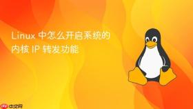 Linux 中怎么开启系统的内核 IP 转发功能