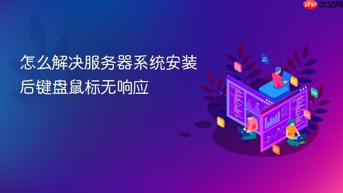 怎么解决服务器系统安装后键盘鼠标无响应