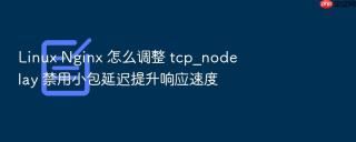 Linux Nginx 怎么调整 tcp_nodelay 禁用小包延迟提升响应速度
