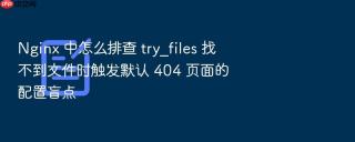 Nginx 中怎么排查 try_files 找不到文件时触发默认 404 页面的配置盲点