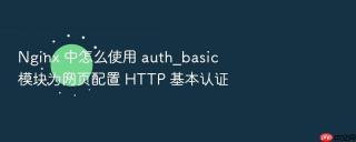 nginx 中怎么使用 auth_basic 模块为网页配置 http 基本认证