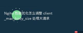 nginx 性能优化怎么调整 client_max_body_size 处理大请求