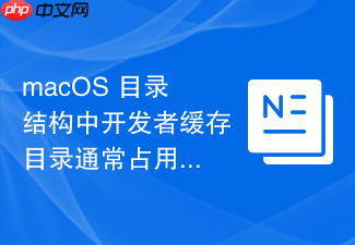macos 目录结构中开发者缓存目录通常占用多少系统盘空间