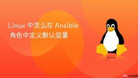 linux 中怎么在 ansible 角色中定义默认变量