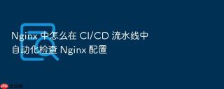 nginx 中怎么在 ci/cd 流水线中自动化检查 nginx 配置