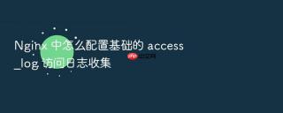 nginx 中怎么配置基础的 access_log 访问日志收集