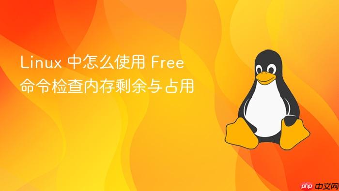 linux 中怎么使用 free 命令检查内存剩余与占用