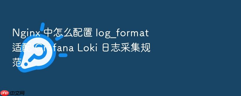 nginx 中怎么配置 log_format 适配 grafana loki 日志采集规范