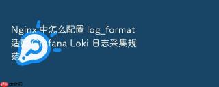 nginx 中怎么配置 log_format 适配 grafana loki 日志采集规范