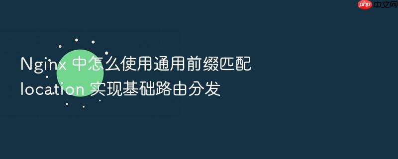 nginx 中怎么使用通用前缀匹配 location 实现基础路由分发