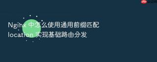 nginx 中怎么使用通用前缀匹配 location 实现基础路由分发
