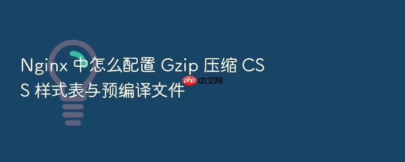 nginx 中怎么配置 gzip 压缩 css 样式表与预编译文件