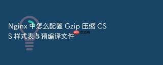 nginx 中怎么配置 gzip 压缩 css 样式表与预编译文件