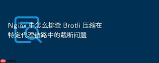 nginx 中怎么排查 brotli 压缩在特定代理链路中的截断问题