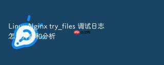 linux nginx try_files 调试日志怎么开启和分析