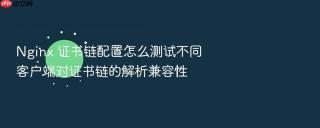 nginx 证书链配置怎么测试不同客户端对证书链的解析兼容性