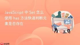javascript 中 set 怎么使用 has 方法快速判断元素是否存在
