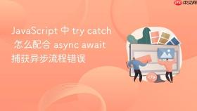 javascript 中 try catch 怎么配合 async await 捕获异步流程错误