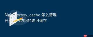 Nginx proxy_cache 怎么清理长时间未访问的陈旧缓存