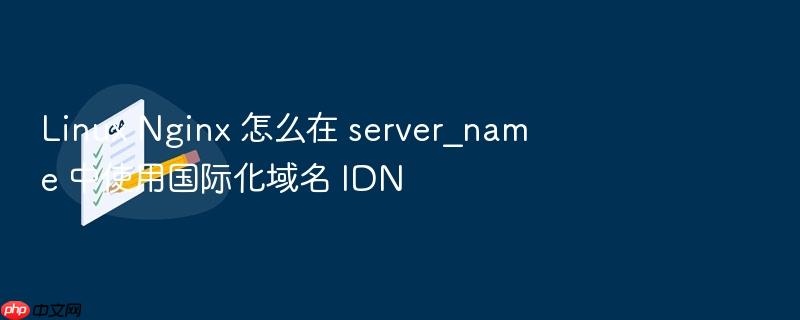 linux nginx 怎么在 server_name 中使用国际化域名 idn
