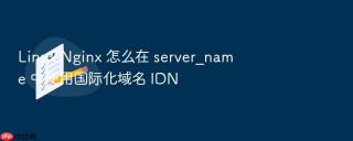 linux nginx 怎么在 server_name 中使用国际化域名 idn