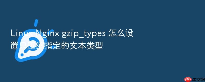 linux nginx gzip_types 怎么设置只压缩指定的文本类型