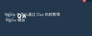 nginx 中怎么通过 dso 机制管理 nginx 模块