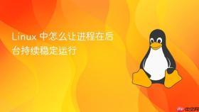 linux 中怎么让进程在后台持续稳定运行