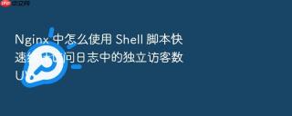 Nginx 中怎么使用 Shell 脚本快速统计访问日志中的独立访客数 UV
