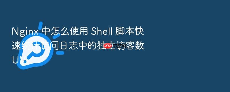 nginx 中怎么使用 shell 脚本快速统计访问日志中的独立访客数 uv