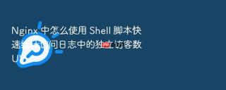 nginx 中怎么使用 shell 脚本快速统计访问日志中的独立访客数 uv