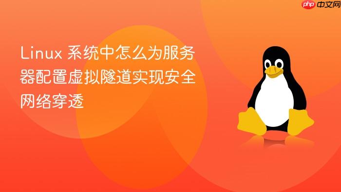 linux 系统中怎么为服务器配置虚拟隧道实现安全网络穿透
