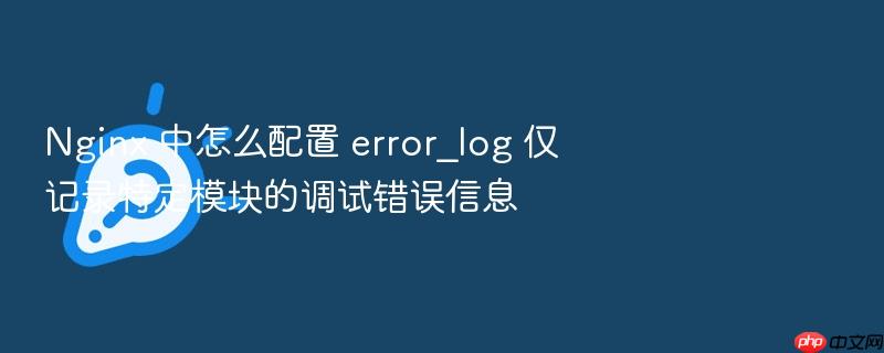 nginx 中怎么配置 error_log 仅记录特定模块的调试错误信息