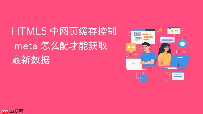 html5 中网页缓存控制 meta 怎么配才能获取最新数据
