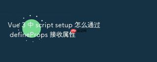 Vue 3 中 script setup 怎么通过 defineProps 接收属性