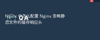 nginx 中怎么配置 nginx 忽略静态文件的缓存响应头