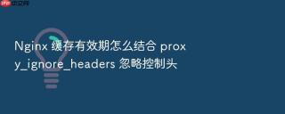 nginx 缓存有效期怎么结合 proxy_ignore_headers 忽略控制头