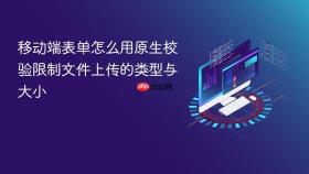 移动端表单怎么用原生校验限制文件上传的类型与大小