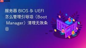 服务器 bios 与 uefi 怎么管理引导项（boot manager）清理无效条目