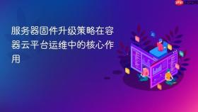 服务器固件升级策略在容器云平台运维中的核心作用