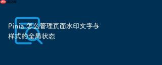 pinia 怎么管理页面水印文字与样式的全局状态